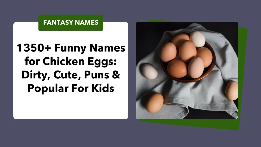 Funny Names for Chicken Eggs