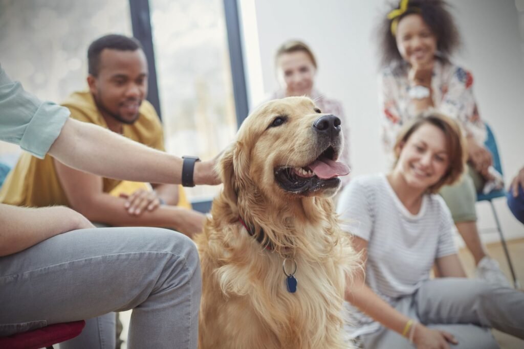 Pet Lovers Team Names