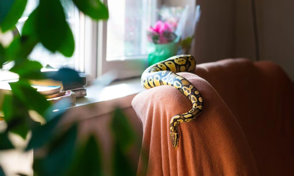 Snake Names