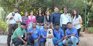 Pet Lovers Team Names