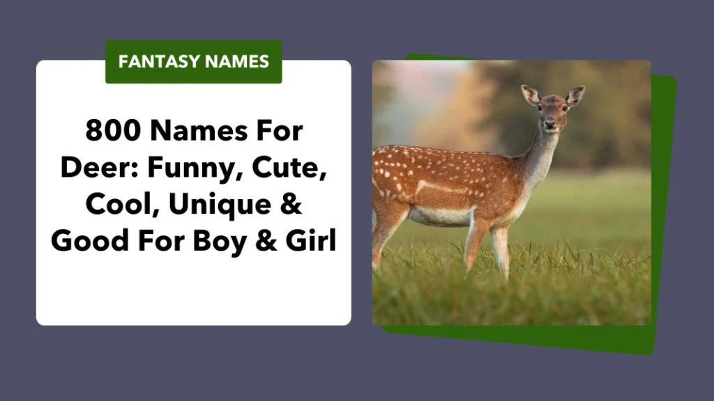 Names For Deer