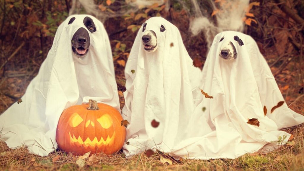 Halloween Team Names