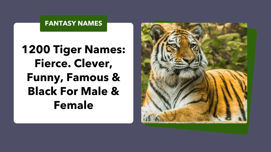 Tiger Names