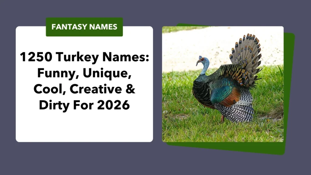 Turkey Names